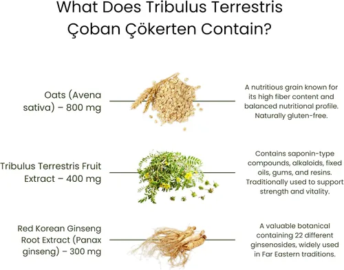 Vista 7 de shiffahome Tribulus Terrestris - Cápsulas de extracto – 60 cápsulas Suplemento de hierbas con extractos de Tribulus, avena y ginseng rojo