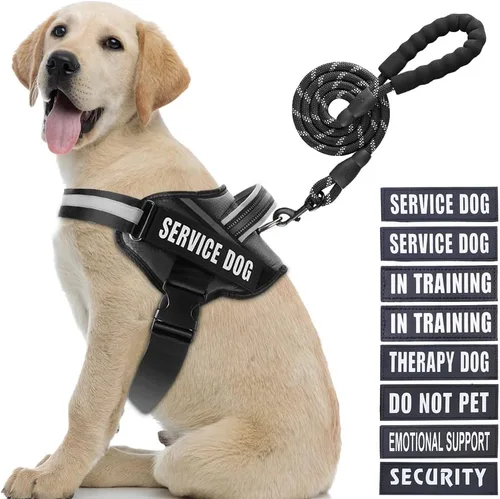 Vista 50 de Juego de Chaleco y Correa para Perro de Servicio, Arnés de Entrenamiento Animire para Perro con 10 Parches para Perros, Correa Reflectante