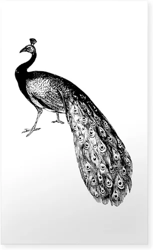 Vista 6 de CafePress Pegatina decorativa de pavo real ~ rectángulo azul para parachoques