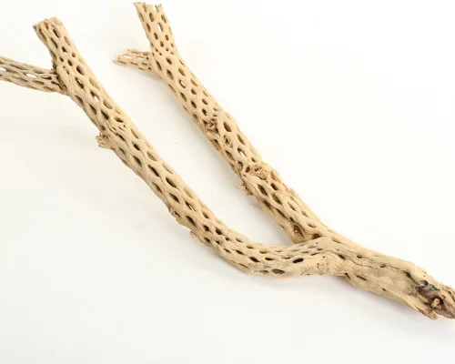 Vista 10 de Koyal Wholesale Ramas de acuario de madera de cholla natural, decoración de plantas de aire, perca de reptil, pieza de madera de cholla sin tratar