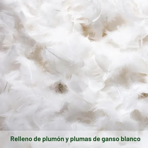Vista 2 de OTOSTAR Paquete de 2 rellenos de cojines de plumón y plumas, 12 x 20 pulgadas, rellenos de almohada suaves y esponjosos con funda de 100% algodón