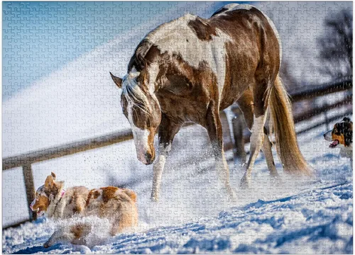 Vista 9 de MyPuzzle American Paint Horse On Snow - Rompecabezas de 100 piezas para adultos