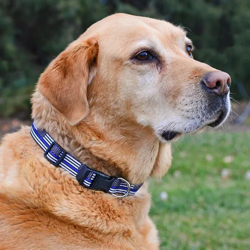 Vista 2 de Native Pup Collar de perro con bandera de línea azul delgada (pequeño)