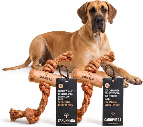 Vista 14 de Canophera Juguete masticable de madera y coco para perros para dientes y encías saludables, tamaño pequeño, todas las razas de perros