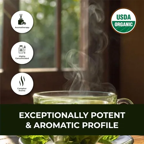 Vista 6 de Aceite esencial de orégano orgánico – 100% puro destilado al vapor Origanum vulgare de España Aceite de aromaterapia natural para difusor, piel