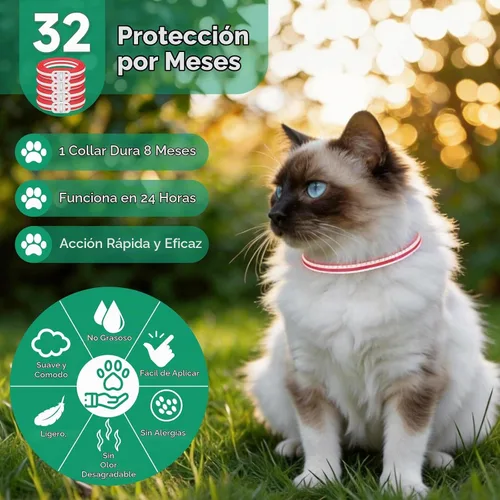 Vista 4 de Collar antipulgas para gatos, tratamiento de pulgas y garrapatas de gato