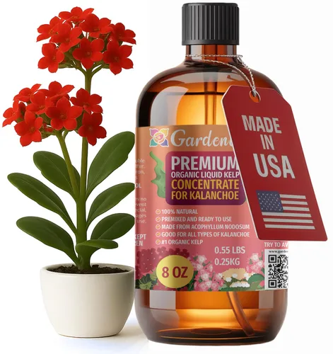 Vista 62 de GARDENERA Superalimento orgánico prémium de algas marinas y algas marinas para plantas AROID - 32 oz - Concentrado de fertilizante líquido de algas