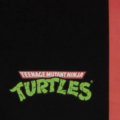 Vista 6 de Nickelodeon Teenage Mutant Ninja Turtles - Disfraz de 2 piezas para niños, conjunto de camiseta y pantalones cortos TMNT con capucha y pantalones