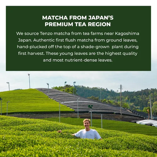 Vista 6 de Tenzo Matcha - Polvo de té verde BetterBoost (1.06 onzas) con batidor de bambú de 100 puntas
