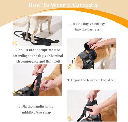 Vista 6 de Arneses tipo halter para perros, arnés de elevación ajustable para perros grandes, cabestrillo para perros medianos, soporte de pierna trasera