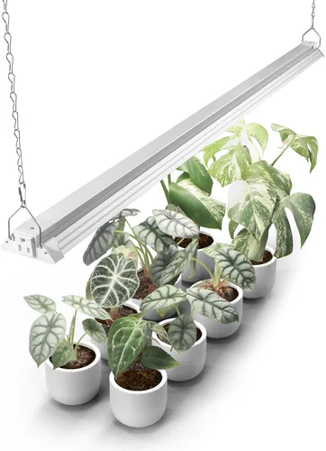 Vista 12 de Barrina TX-S60 Luz de crecimiento de 4 pies para plantas de interior, 240W (4 x 60W, equivalente a 1680W), alto PPFD, espectro completo con LEDs