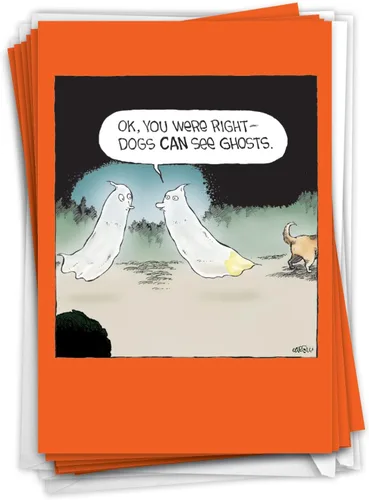 Vista 8 de NobleWorks - Juego de 12 divertidas tarjetas de felicitación de Halloween con sobres de 5 x 7 para hombres, mujeres 1x12 diseños - Calabaza