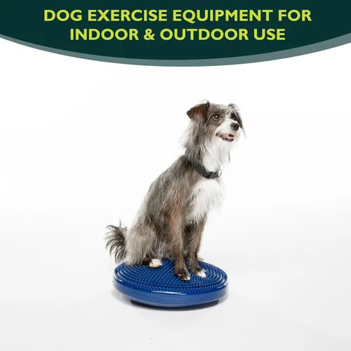 Vista 2 de FitPAWS® Disco de equilibrio para perros, 14 pulgadas, azul, equipo de ejercicio para perros, herramienta de entrenamiento para fuerza, núcleo