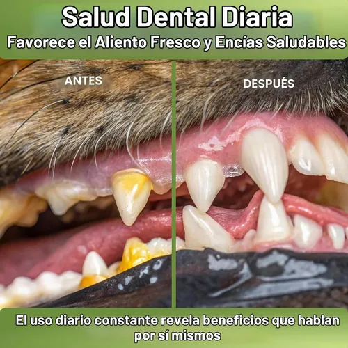 Vista 4 de WuffWell - Polvo dental probiótico para dientes de perros, fabricado en Allergy Itch