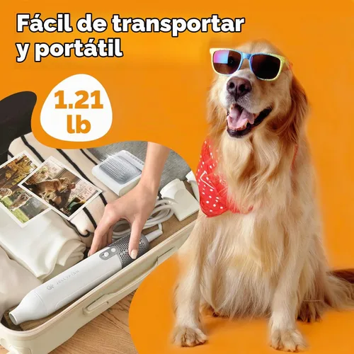 Vista 4 de Kit de aseo 2 en 1 para secador de pelo de perro y cepillo de aseo profesional para peinado de pelo de perro encrespado, 1.21 libras, mango ligero