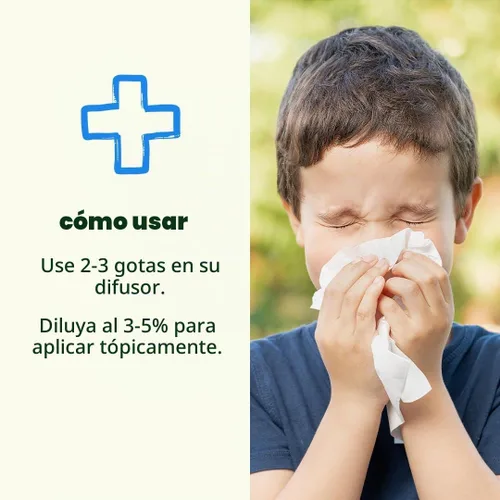Vista 8 de KidSafe mezcla de aceites esenciales sin diluir para tratar el resfrío, de grado terapéutico, Transparente
