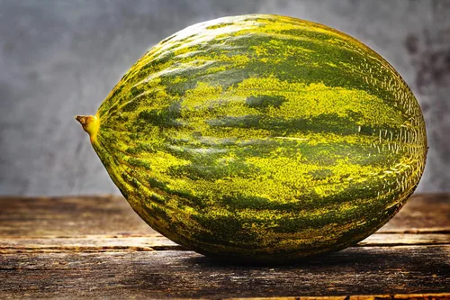 Vista 3 de 50 PIEL de SAPO Melón Santa Claus Navidad Melón Verde Amarillo Cucumis Melo Semillas Frutas
