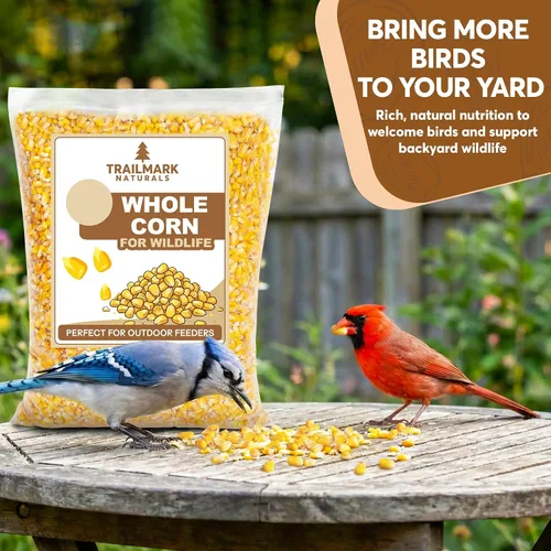 Vista 2 de Maíz entero de 10 libras - Semillas de aves y alimento para vida silvestre premium para patos, ciervos, ardillas, pollos y pavos - Maíz entero