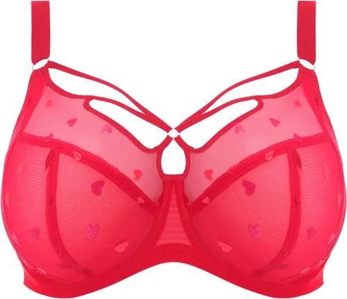 Vista 3 de Elomi Women's Plus Size Plunge