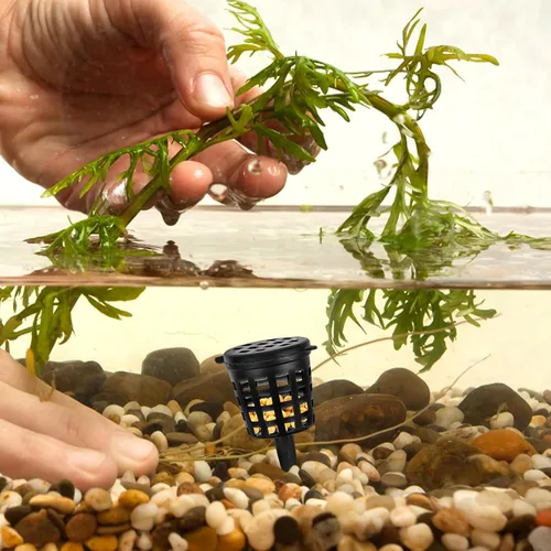 Vista 5 de GANAZONO Cesta de fertilizante con tapa Contenedor de fertilizante portátil para Bonsái Soporte de control de macetas para plantas en maceta