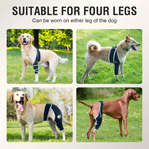 Vista 5 de Rodillera para perros pequeños, estabilidad de rodilla y soporte activo, talla S Provides comfortable knee support for dogs with joint weakness