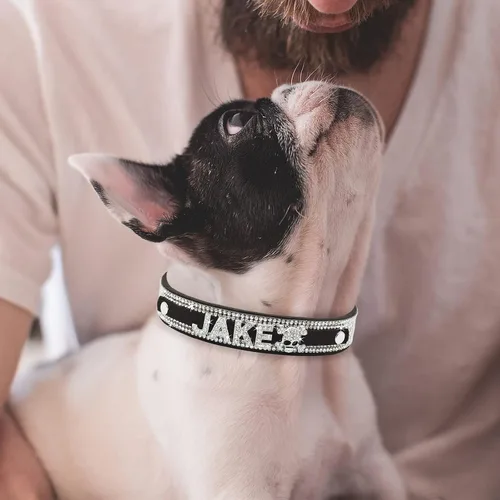 Vista 5 de Collar de Perro de Cristal Senristar Personalizado con Nombre Brillante, Collar de Perro Personalizado con Brillantes Rinstones para Perro Pequeño