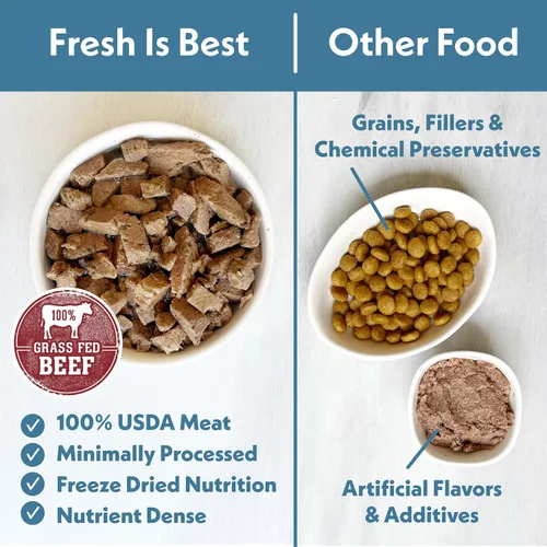 Vista 3 de Fresh Is Best Alimento liofilizado de carne de res para gatos, alimento crudo para gatos y felinos adultos, carne de res liofilizada con alto