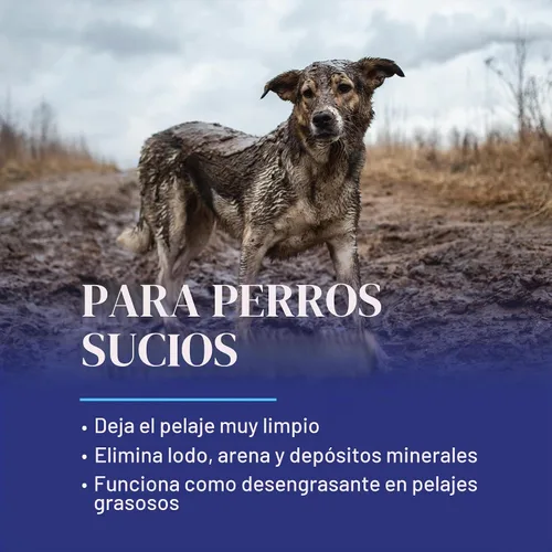 Vista 4 de Chris Christensen Clean Start Champú para Perros, Asequia como un Profesional, Fórmula Profunda de Limpieza con Pro-Vitaminas, Preserva los Aceites