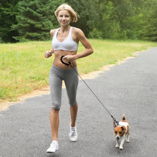 Vista 7 de Correas resistentes para perros a prueba de mordidas y cómodo mango acolchado de 4/5/6 pies, cuerda de seguridad de metal de acero con hebilla