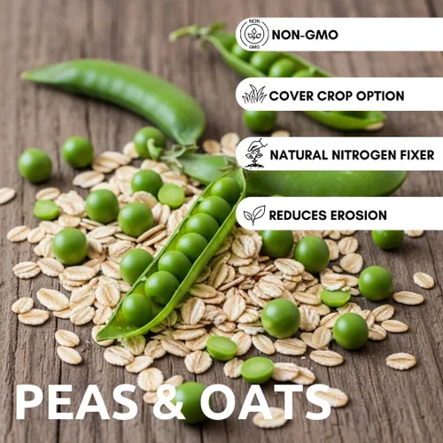 Vista 2 de Semillas de cultivo de cobertura de guisantes y avena, sin OMG, anual, mezcla fijadora de nitrógeno - Construye la salud del suelo, apta