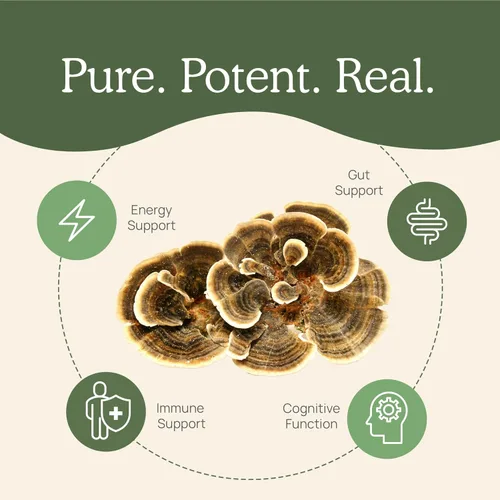 Vista 4 de Real Mushrooms Paquete de apoyo inmunológico, cognición y aumento del rendimiento, extracto orgánico de cola de pavo en polvo (1.59 oz) Melena