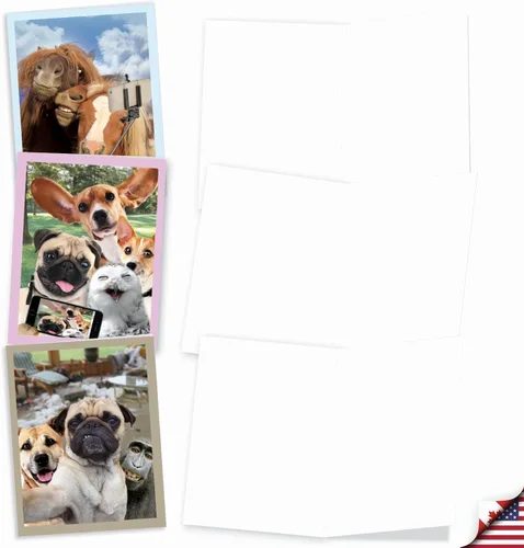 Vista 2 de The Best Card Company - Tarjetas de animales en blanco en caja, 4 x 5.12 pulgadas, mascotas surtidas, zoológico, tarjetas de vida silvestre