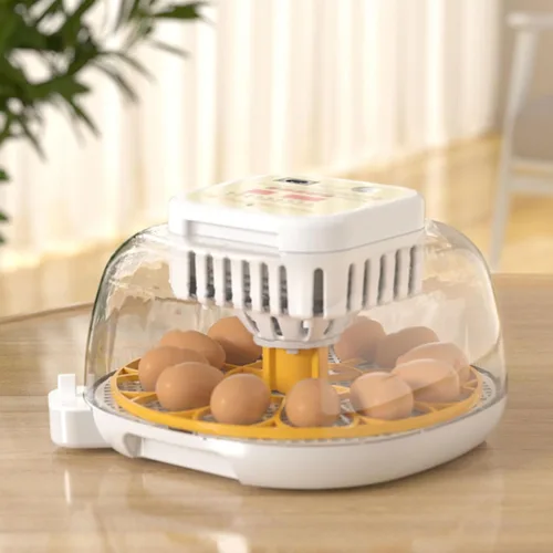 Vista 3 de Incubadora automática de 12 huevos con control de humedad con girador de huevos, incubadora ventilada para eclosionar huevos de pollo y codorniz, US