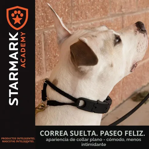 Vista 5 de Collar Star Mark Pro para entrenamiento de perros pequeño