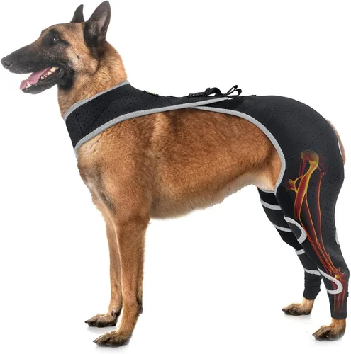 Vista 11 de Codera para perro y pierna delantera para perro para dejar de lamer, protector de codo de perro y coderas de higroma para perros, mangas