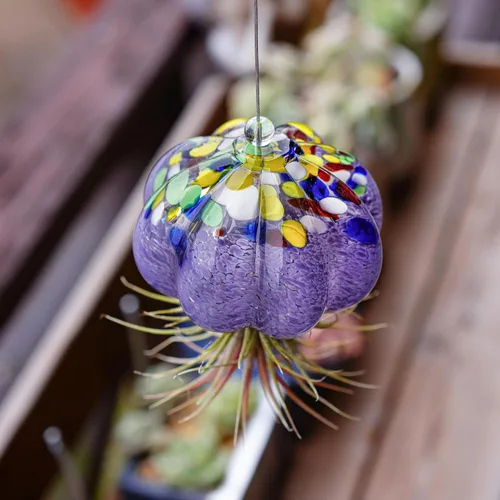 Vista 2 de H&D HYALINE & DORA Terrario de cristal soplado a mano colgante con diseño de medusa de aire para plantas de aire, decoración para jardín, porche