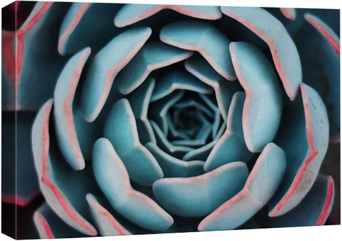 Vista 15 de wall26 Lienzo impreso para pared, diseño de rosa del desierto, suculentas, naturaleza, desierto, fotografía, realismo, floral, botánico, suroeste