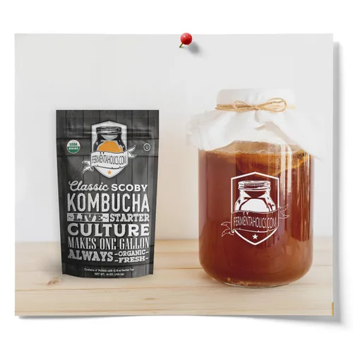 Vista 4 de Fermentaholics Kombucha SCOBY ORGÁNICO con doce onzas de té de iniciación – Cultivo de inicio en vivo – hace un lote de un galón – 1.5 tazas de té