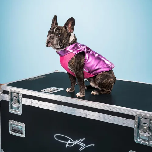Vista 5 de Doggy Parton Chaqueta Bomber Rhinestone para Perros - Pequeña, Rosa
