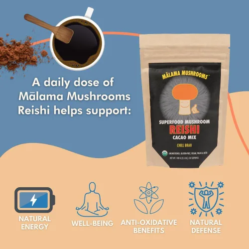 Vista 9 de Malama Productivity & Chill Bundle – Mezclas de cacao caliente de melena de león y hongos Reishi – Superalimentos adaptogénicos funcionales