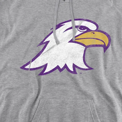 Vista 2 de LOGOVISION Ashland University - Sudadera con capucha unisex para adultos