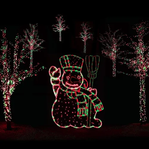 Vista 3 de Baquler Luces solares de Mardi Gras de 98 pies, 8 modos, 300 LED, decoración al aire libre, impermeables, para suministros de decoración de patio