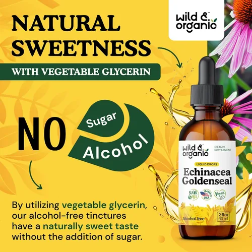Vista 6 de Wild & Organic Echinacea Goldenseal - Suplemento de apoyo inmunológico con extracto de raíz de equinácea de sello dorado, tintura vegana, sin azúcar