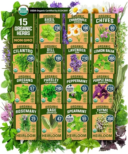 Vista 125 de HOME GROWN Autumn Beauty Semillas de girasol, 40 semillas, Helianthus