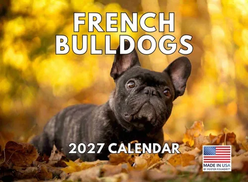 Vista 99 de Calendario mensual de pared Airedale Terrier Dog 2027