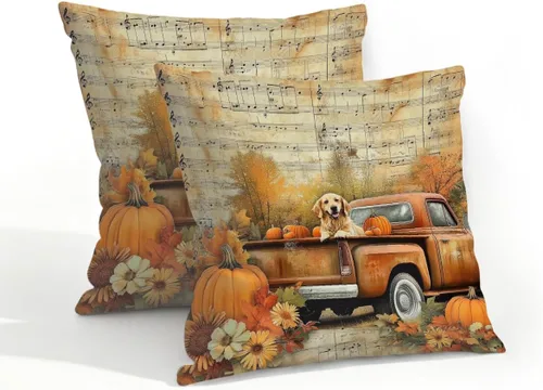 Vista 50 de Juego de 2 fundas de almohada impermeables para exteriores, 16 x 16 pulgadas, fundas de almohada decorativas de patio para muebles de jardín, sofá