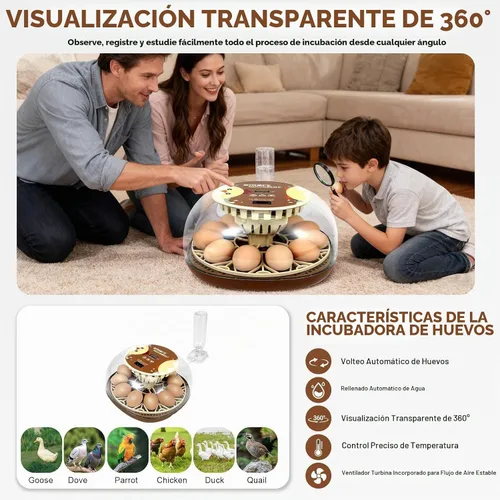 Vista 5 de Nest I - Incubadora de 12 huevos para principiantes, giro automático de huevos, humedad constante con botella de agua de recarga automática
