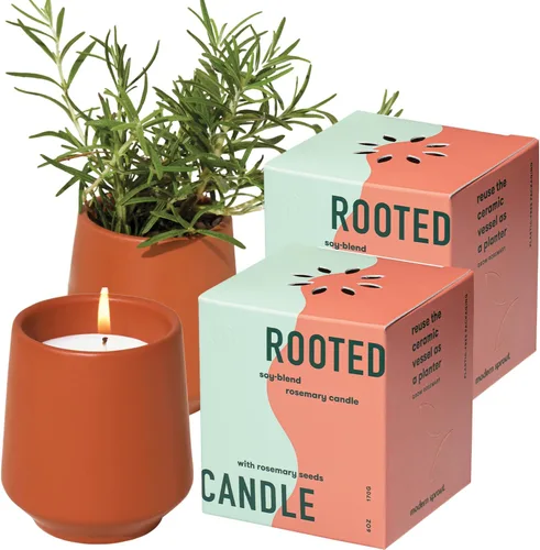 Vista 15 de Modern Sprout Rooted Candle - Vela perfumada de madera de cedro 2 en 1 y soja con semillas que crece en planta de lavanda, 6 onzas con 42 horas