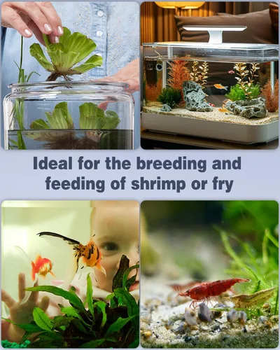 Vista 6 de Pawfly - Mini filtro de esponja para acuario, filtro interno de tanque de peces pequeño con espuma y filtro de esponja biológica sumergible