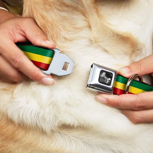 Vista 8 de Buckle-Down Collar de perro con hebilla para cinturón de seguridad, 1 pulgada de ancho, se adapta a cuello de 9 a 15 pulgadas, pequeño